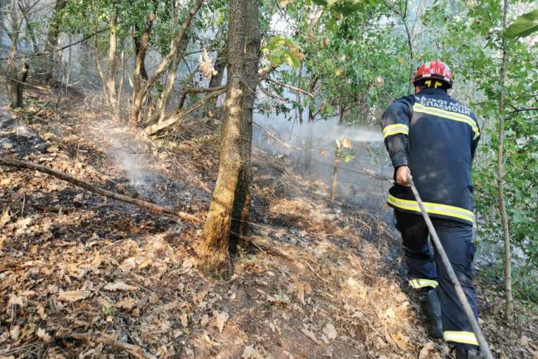 Gori šuma kod Čačka: Požar preti da stigne do kuća, vatrogasci se bore satima (FOTO)