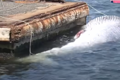 Tanker uplovio u luku sa ogromnim mrtvim kitom na pramcu: Kako ovo nisu primetili? (VIDEO)