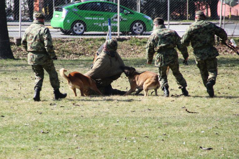 Ovo je pas koji je čuvao Aleksandra Vučića: I sada traži porodicu koja će ga udomiti (FOTO)