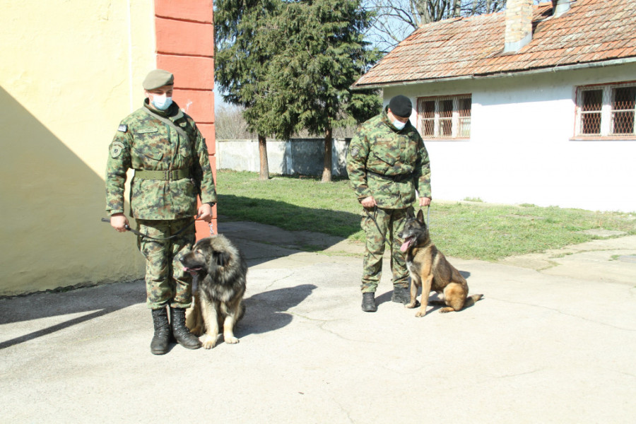 Ovo je pas koji je čuvao Aleksandra Vučića: I sada traži porodicu koja će ga udomiti (FOTO)