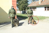 Ovo je pas koji je čuvao Aleksandra Vučića: I sada traži porodicu koja će ga udomiti (FOTO)