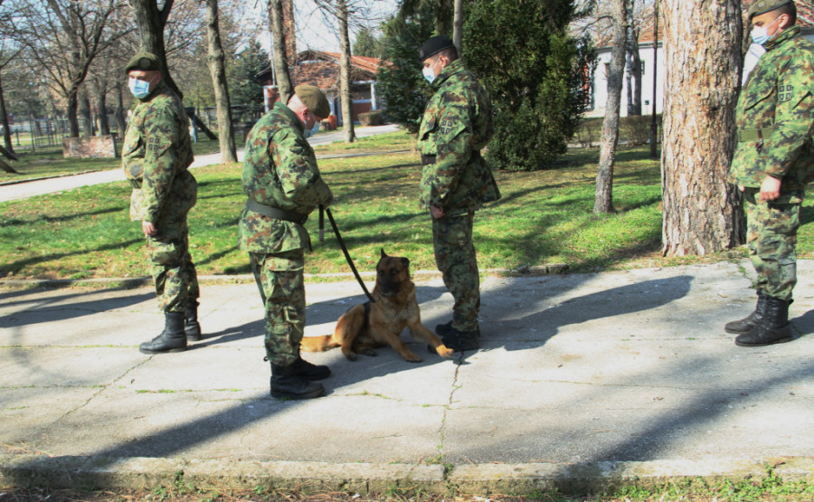 Ovo je pas koji je čuvao Aleksandra Vučića: I sada traži porodicu koja će ga udomiti (FOTO)