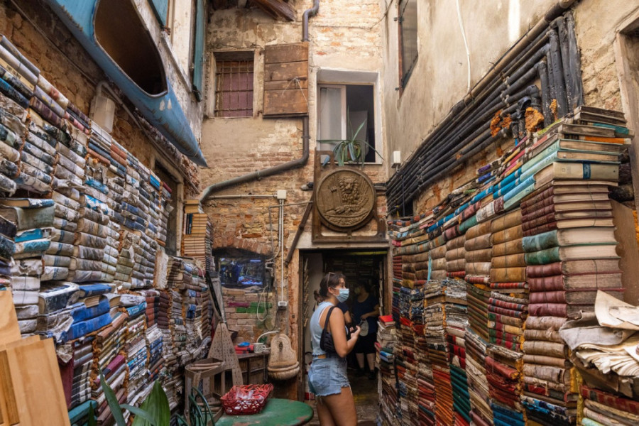 Kamila Rošan, konj Dendi i romantična priča o knjigomobilima: Kako knjige putuju svetom (FOTO)