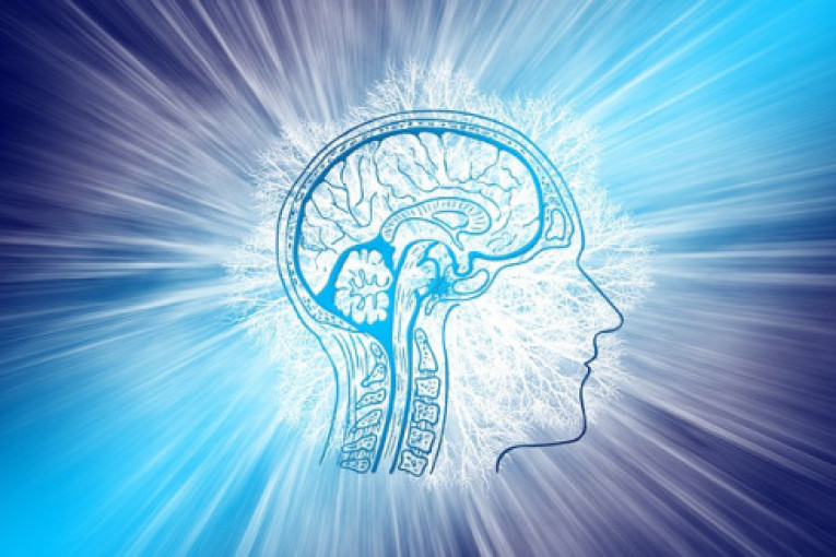 Čovek kog su ismevali zbog skupljanja baterija danas ima kuću koja osam godina radi na potpuno besplatnu energiju