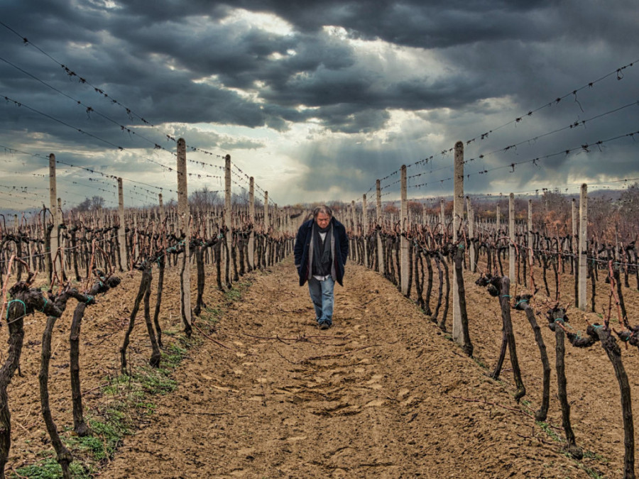 Potresna drama o životu Srba na Kosovu: „Čekajući Handkea“ premijerno na malim ekranima (FOTO/VIDEO)