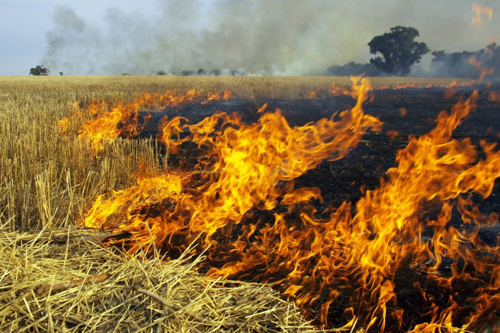 Devet požara za 24 sata u Kruševcu: Buknuli trava i deo šume!