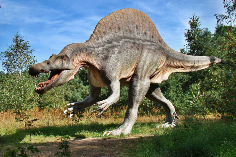 Pronađena nova vrsta: Mali stegosaurus možda najstariji ikada!