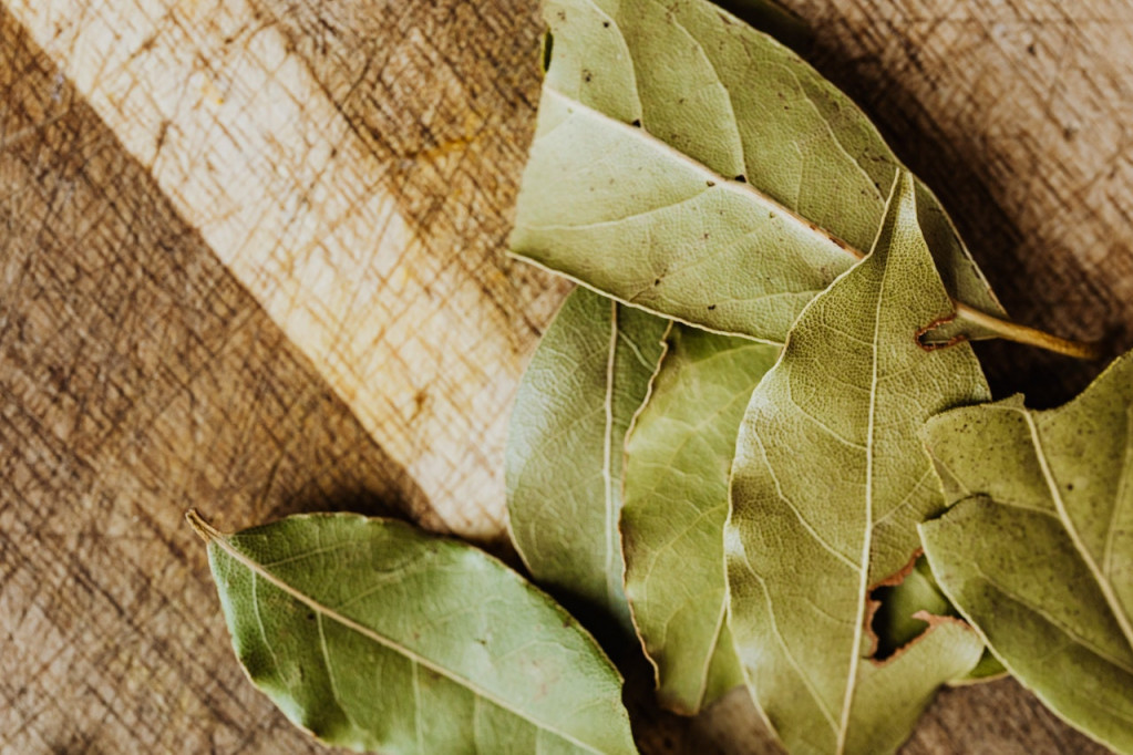 Oslobodite se stresa za samo pet minuta: Ova biljka će učiniti da se osetite preporođeno