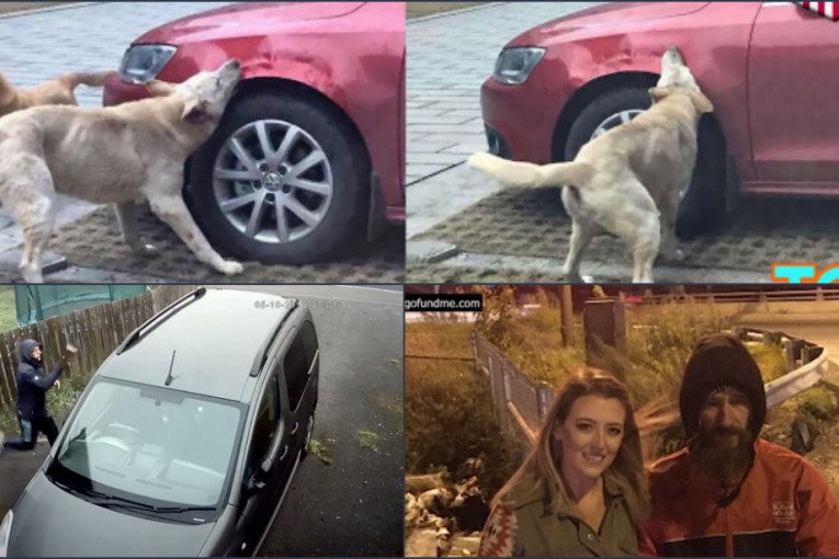 Udario je psa, a onda se on vratio sa čoporom i izujedao mu automobil: Pet situacija koje pokazuju da karma postoji (FOTO/VIDEO)