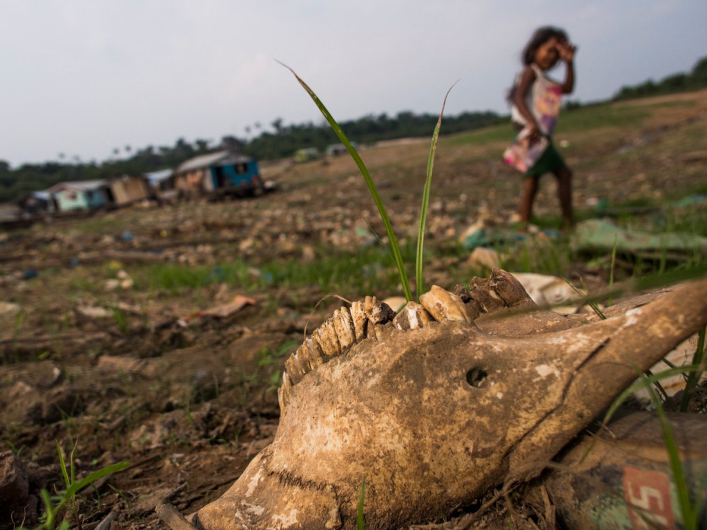 Glad u svetu: 828 miliona ljudi odlazi u krevet bez večere, najteže je je u jednoj zemlji Bliskog istoka