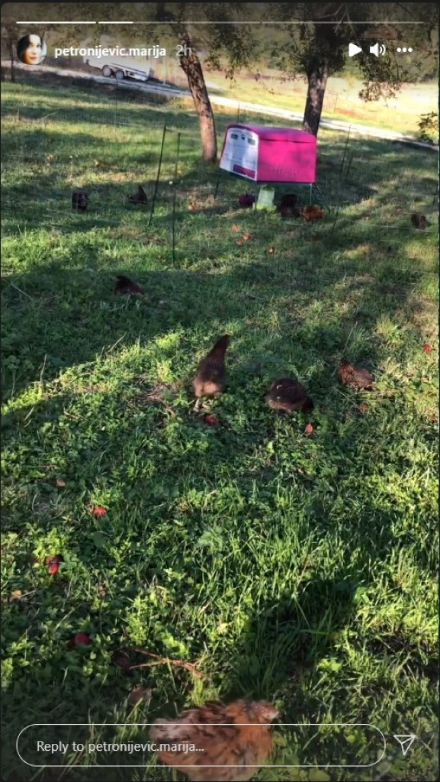 Aktivna trudnica: Marija Petronijević pokazala čemu se posvetila dok broji dane do porođaja (FOTO)