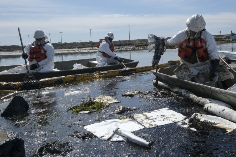 Ekološka katastrofa u Kaliforniji: Veliki pomor ptica i ribe posle izlivanja nafte (VIDEO)