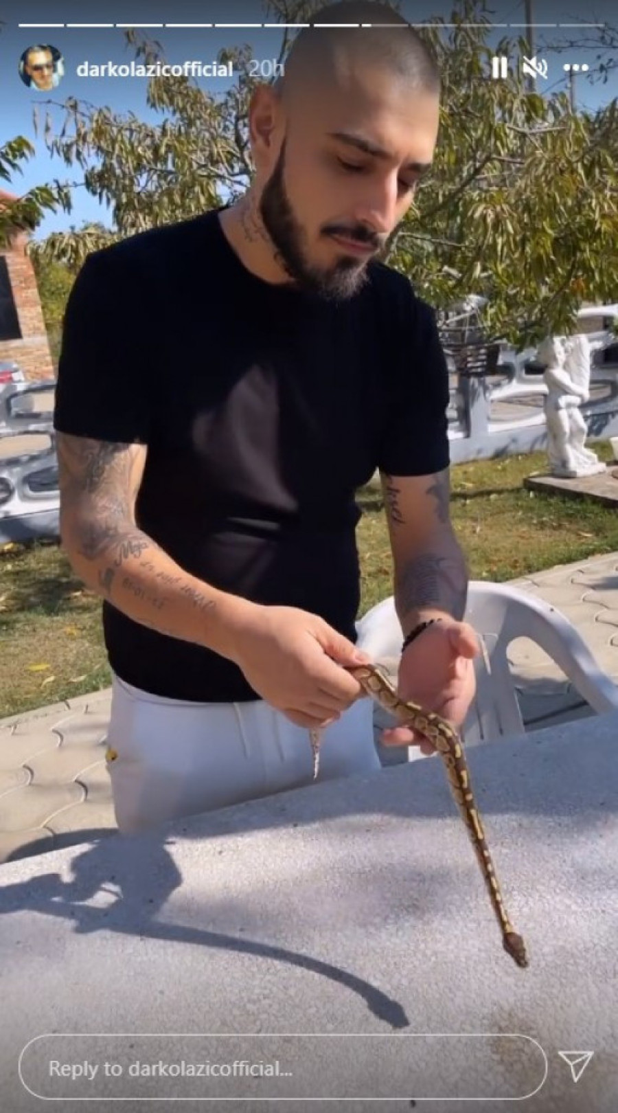 Od ovog prizora su se mnogi sledili! Darko Lazić pokazao da baš voli zmije, mazi je bez ikakvog straha (FOTO)