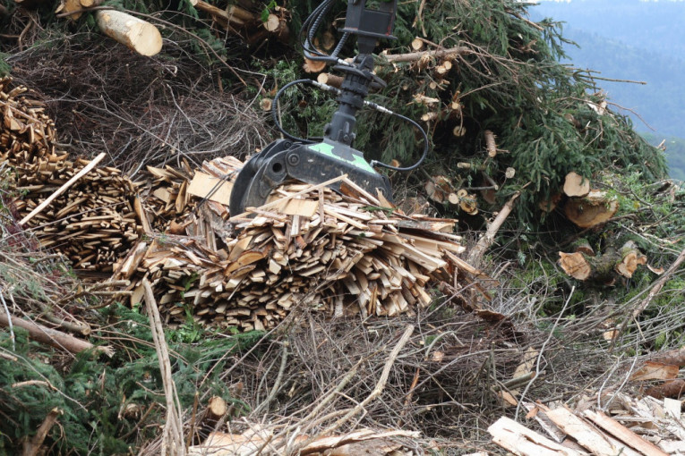 Bolje greje od sunca i vetra: Energija biomase počinje da se koristi i u Srbiji