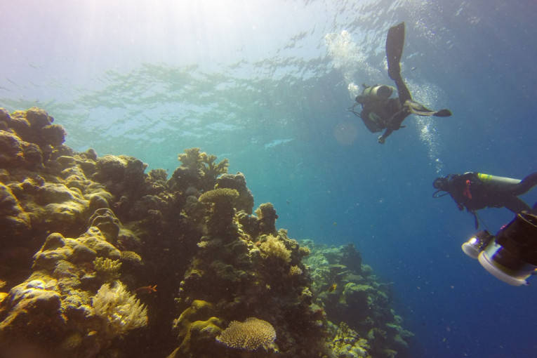 Svetski dan okeana poziva na akciju za spas! Ovo je planetarna opomena: Čuvajmo prirodu