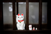 Mačke su u Japanu simbol sreće, ali ljudi plaćaju da ih maze u kafićima jer nemaju ni vremena ni prostora da ih čuvaju