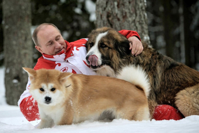 Putin voli životinje, ali nije jedini: Jedan bivši lider Rusije se igrao sa mečetom, a u šetnju je išao sa vranom