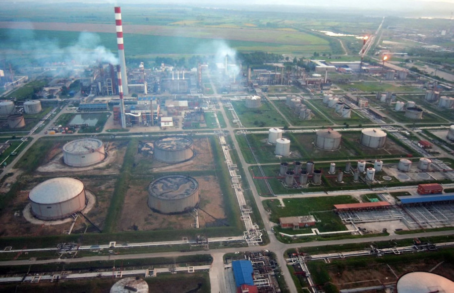 Šok u EU: Jedna država potpuno zabranila uzgoj živine zbog smrtonosnog virusa!