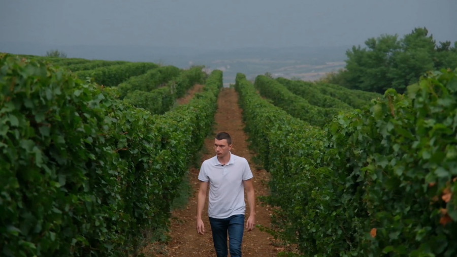 Jedno ime, dve duše: Vina iz topličkog čuda "greju“ čak i Kineze (VIDEO)