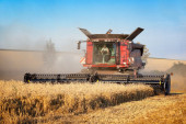 Prehrambena kriza zabrinjava celu planetu: Posle sukoba u Ukrajini svetu preti „pšenični rat“
