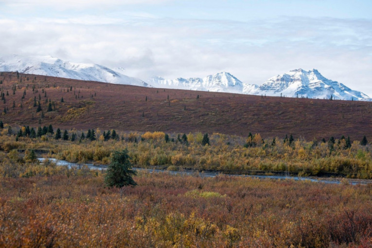 Jak zemljotres od 6,5 stepeni pogodio Aljasku