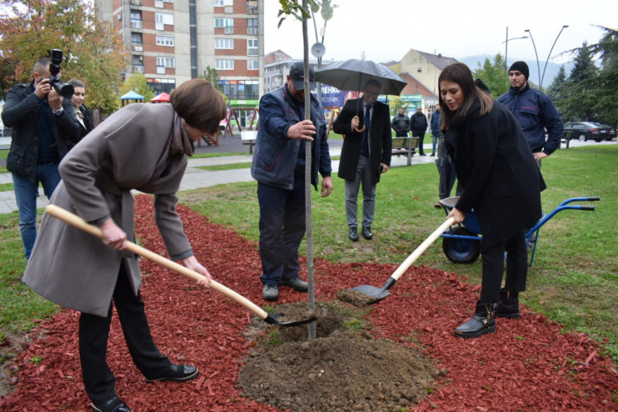 Ministarka Vujović u Trsteniku: Očistićemo istorijski otpad do nultog stanja (FOTO)
