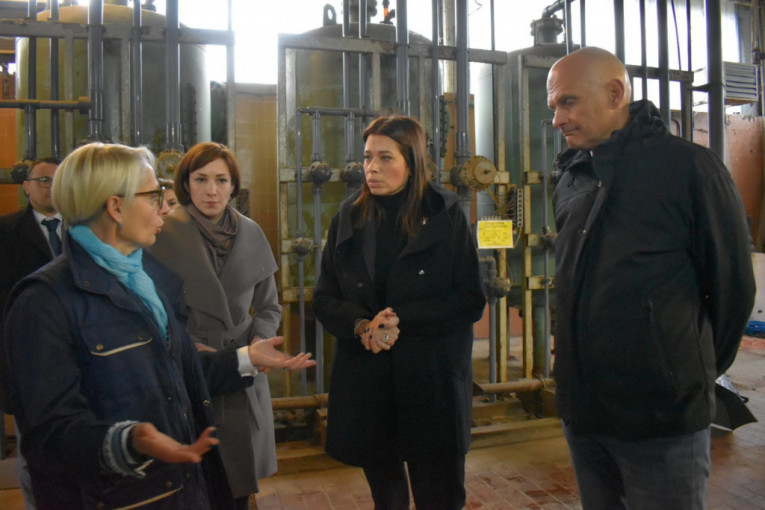 Ministarka Vujović u Trsteniku: Očistićemo istorijski otpad do nultog stanja (FOTO)