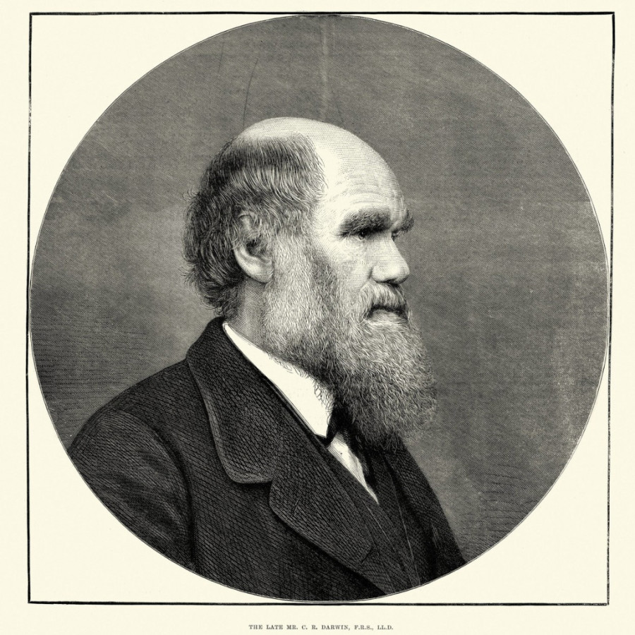 Prvi put otkrivena cela biblioteka Čarlsa Darvina: Tu je i poslednja knjiga koja mu čitana naglas (FOTO)