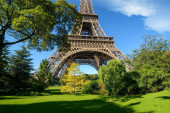 Pariz će posaditi 170.000 stabala da bi poboljšao klimu u gradu