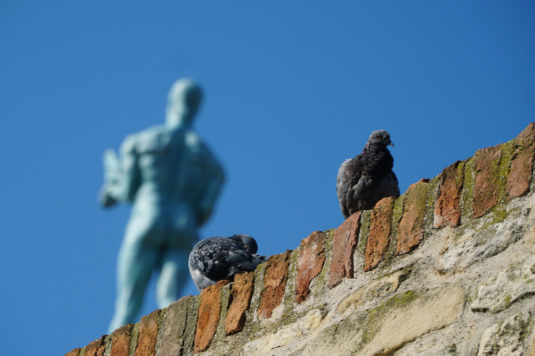 Ledeno jutro, a preko dana sunčano! I narednih dana smena sunca i kiše