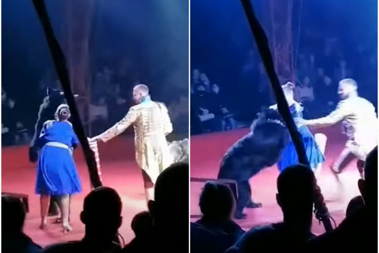 Medved napao trudnicu u ruskom cirkusu, jedva ga smirili (VIDEO)