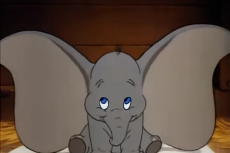 Fotografija: www.24sedam.rs