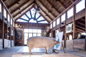 Vesti iz sveta poznatih svinja: Slikarka Pigkaso naslikala influenserku Ester