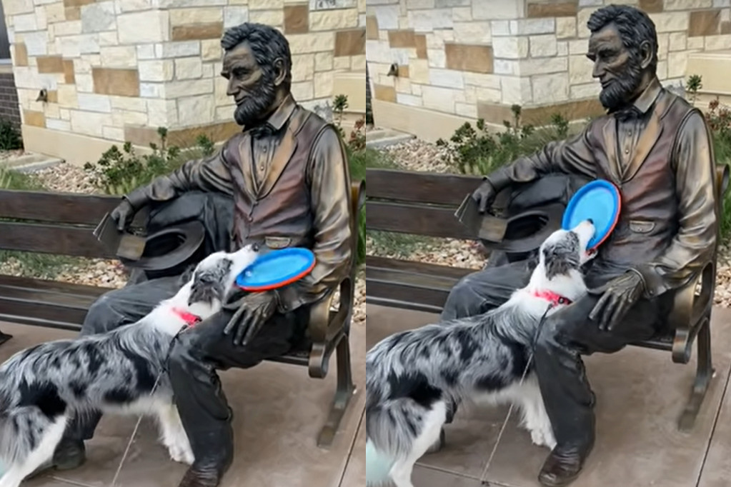 Ovaj pas ne razume zašto Abraham Linkoln ne želi da mu baci frizbi (VIDEO)