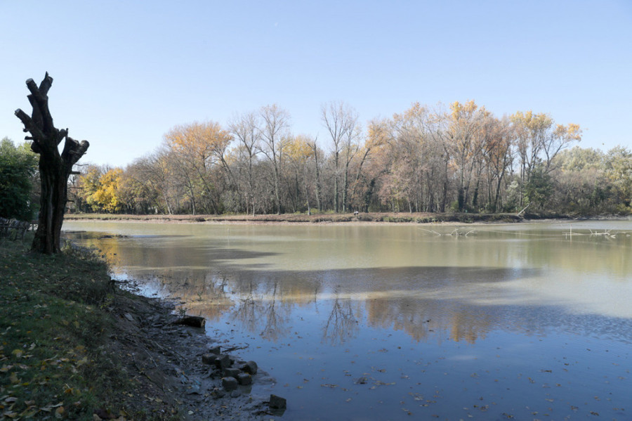 TOP 7 beogradskih jezera: Idealna mesta za kupanje skrivena od gradske vreve i buke automobila! (FOTO)