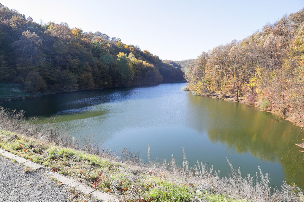 Pažnja! Opasnost vreba u vodi: Građani se kupaju na beogradskim plažama, a ne slute šta ih vreba