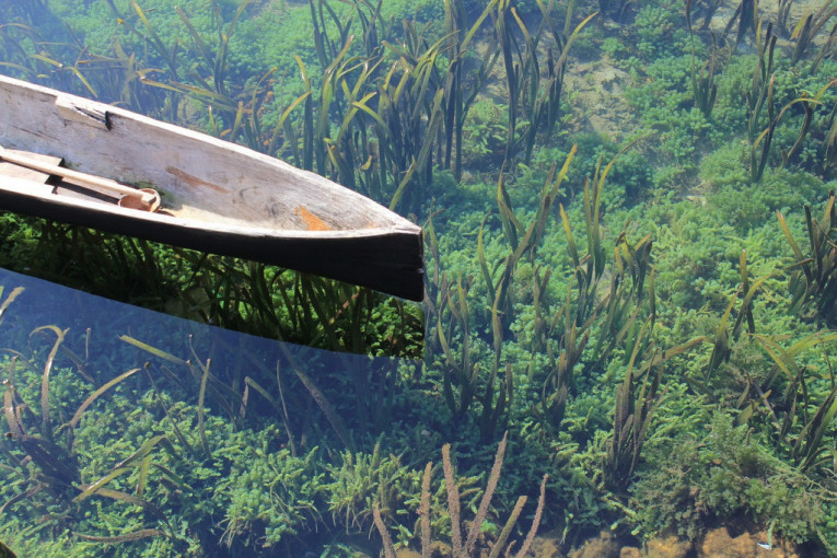 Otkriven kanu star preko hiljadu godina:  Koristile ga drevne Maje!