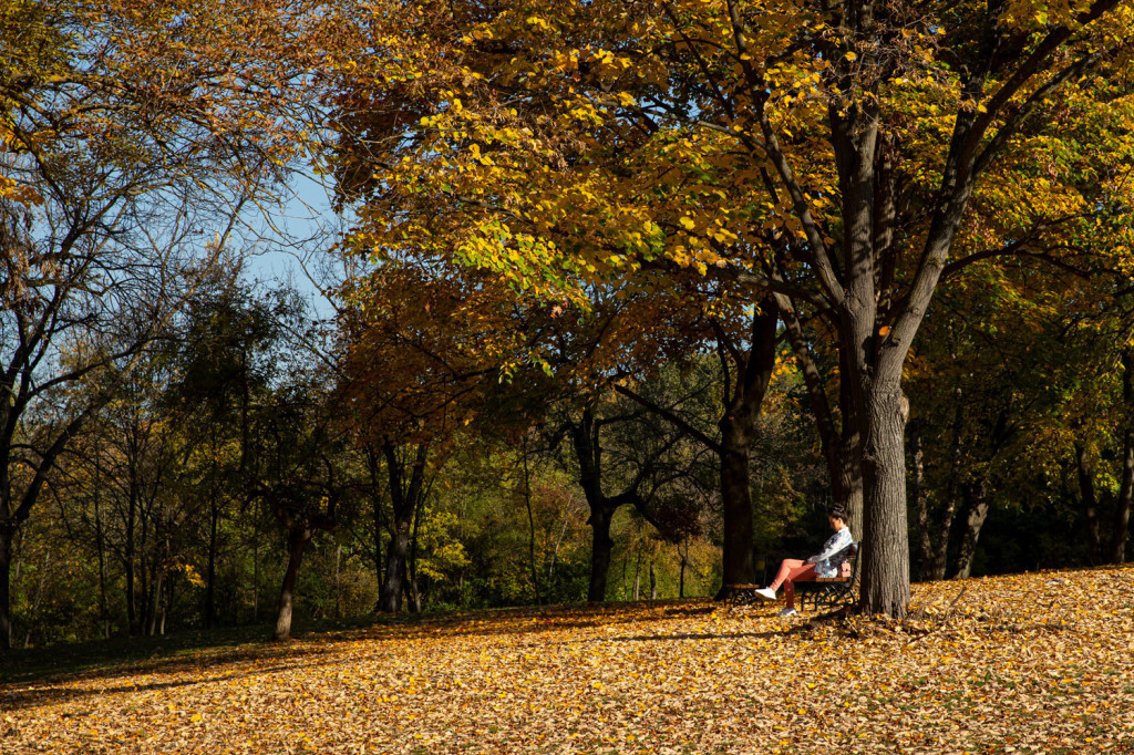 Užas u Šumaricama! Udavio se zbog opklade