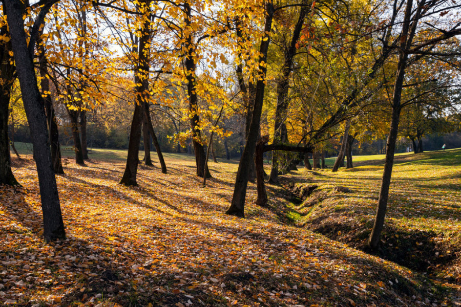 Tačno je 14 časova i 43 minuta: Stigla nam je jesen! (FOTO)