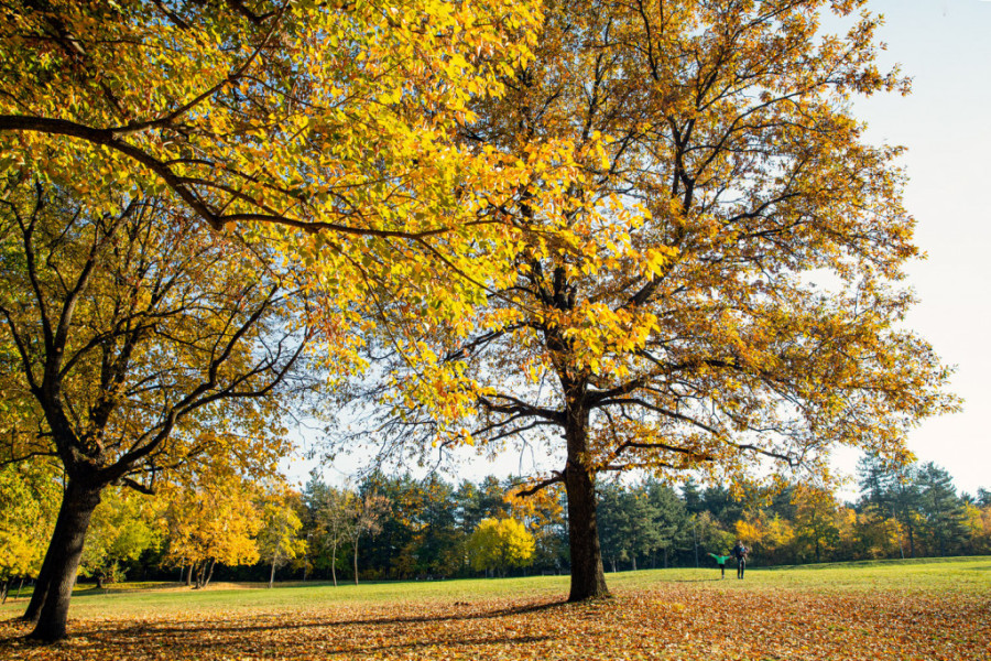 Tačno je 14 časova i 43 minuta: Stigla nam je jesen! (FOTO)