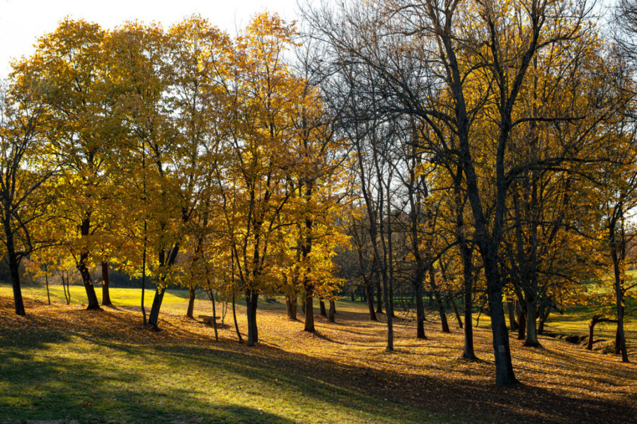 Tačno je 14 časova i 43 minuta: Stigla nam je jesen! (FOTO)