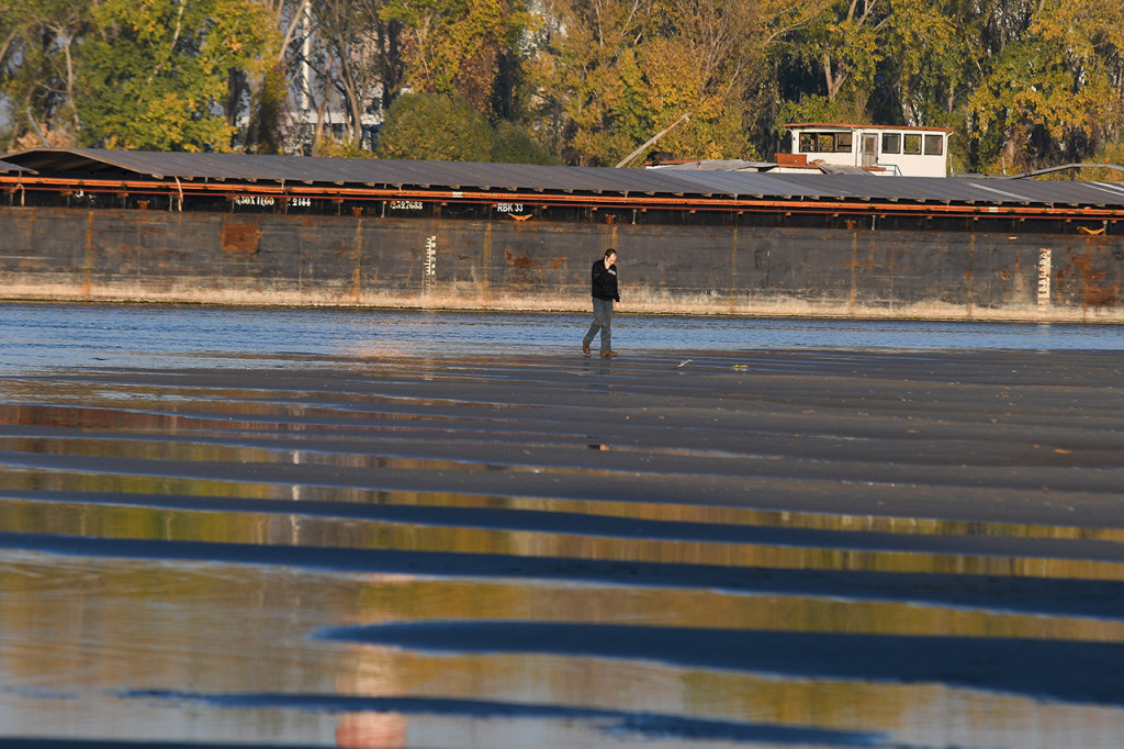 Probudio se Novi Sad iz dubokog sna koji je trajao deceniju, dovoljno je da se provozate