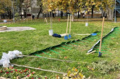 Dan čistog vazduha obeležen u Studentskom gradu: Akademci zasadili 272 sadnice drveća (FOTO)