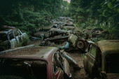Saobraćajna gužva u šumi! Jezivo groblje automobila u Belgiji