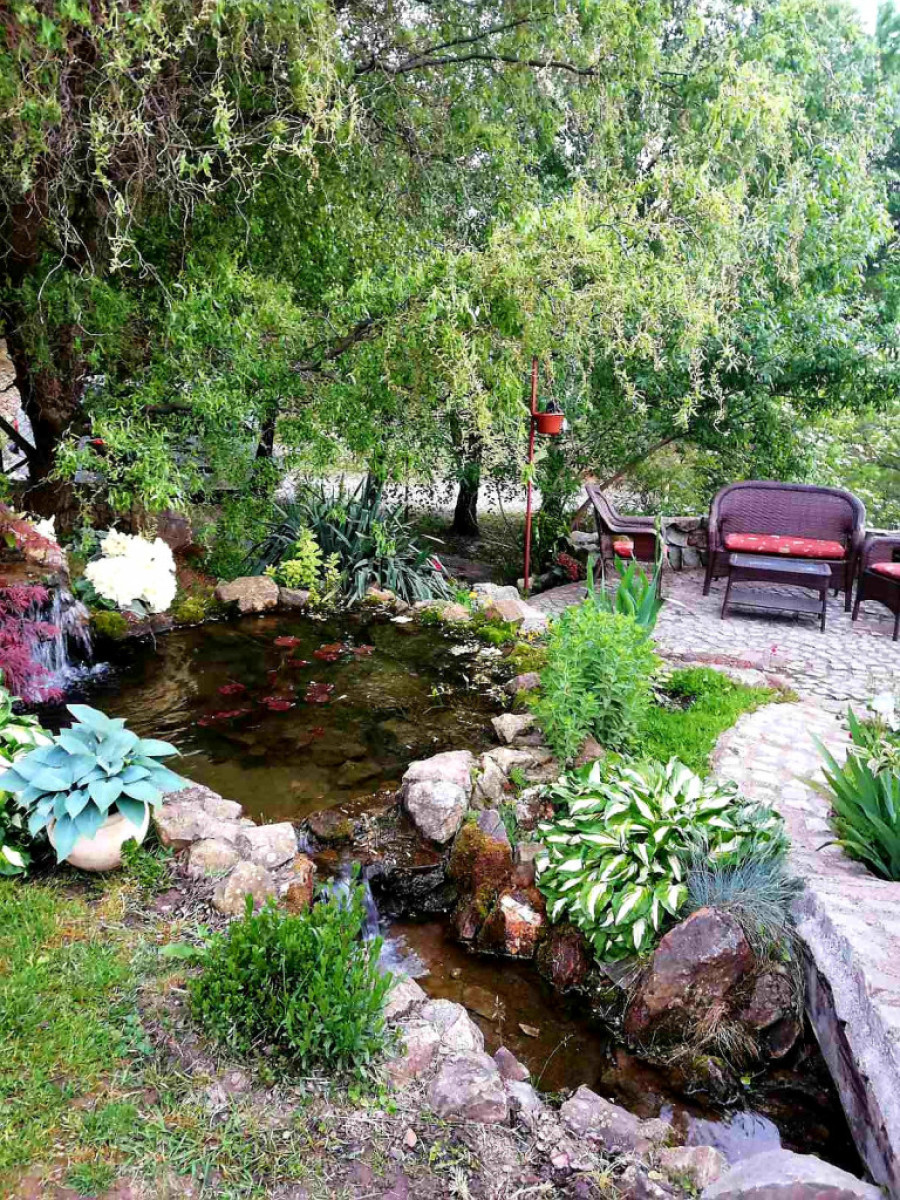 Turistički dragulj na sat vremena od Beograda: Planina Rudnik nudi pravu avanturu - od jahanja konja do domaće gibanice (FOTO)