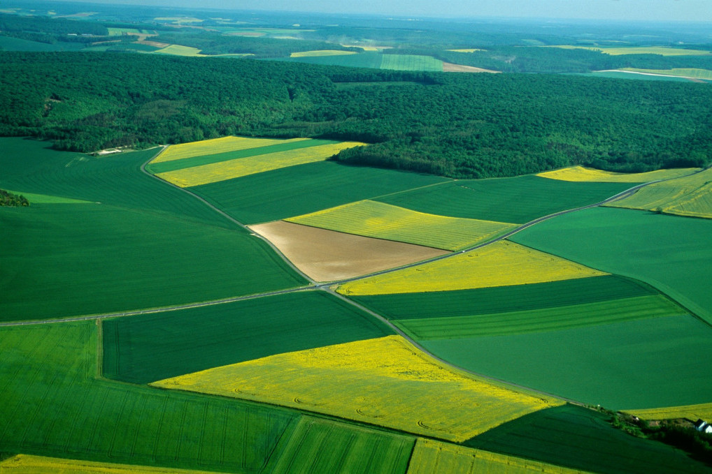 Krajnje je vreme za brigu o obradivom zemljištu: Kako do regenerativne poljoprivrede?