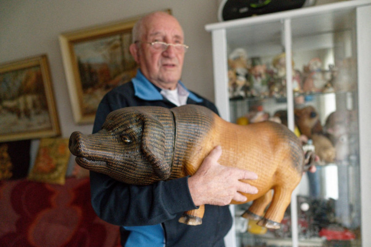 Traži se kupac: Prodaje se kolekcija od 4.000 svinja