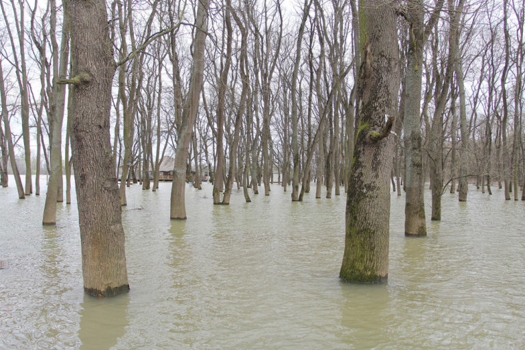 Kiša ne staje: Izlila se reka Jadar, poplavljene kuće