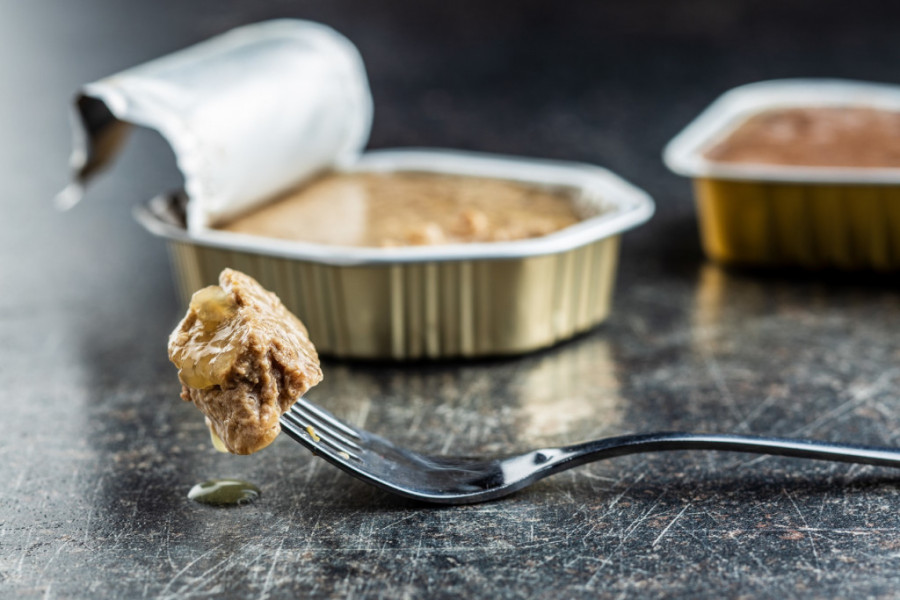 Najčudnija zanimanja na svetu, a odlično plaćena: Jedan posao je posebno bizaran!