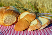 Vlada ograničila cenu hleba na 46 dinara!